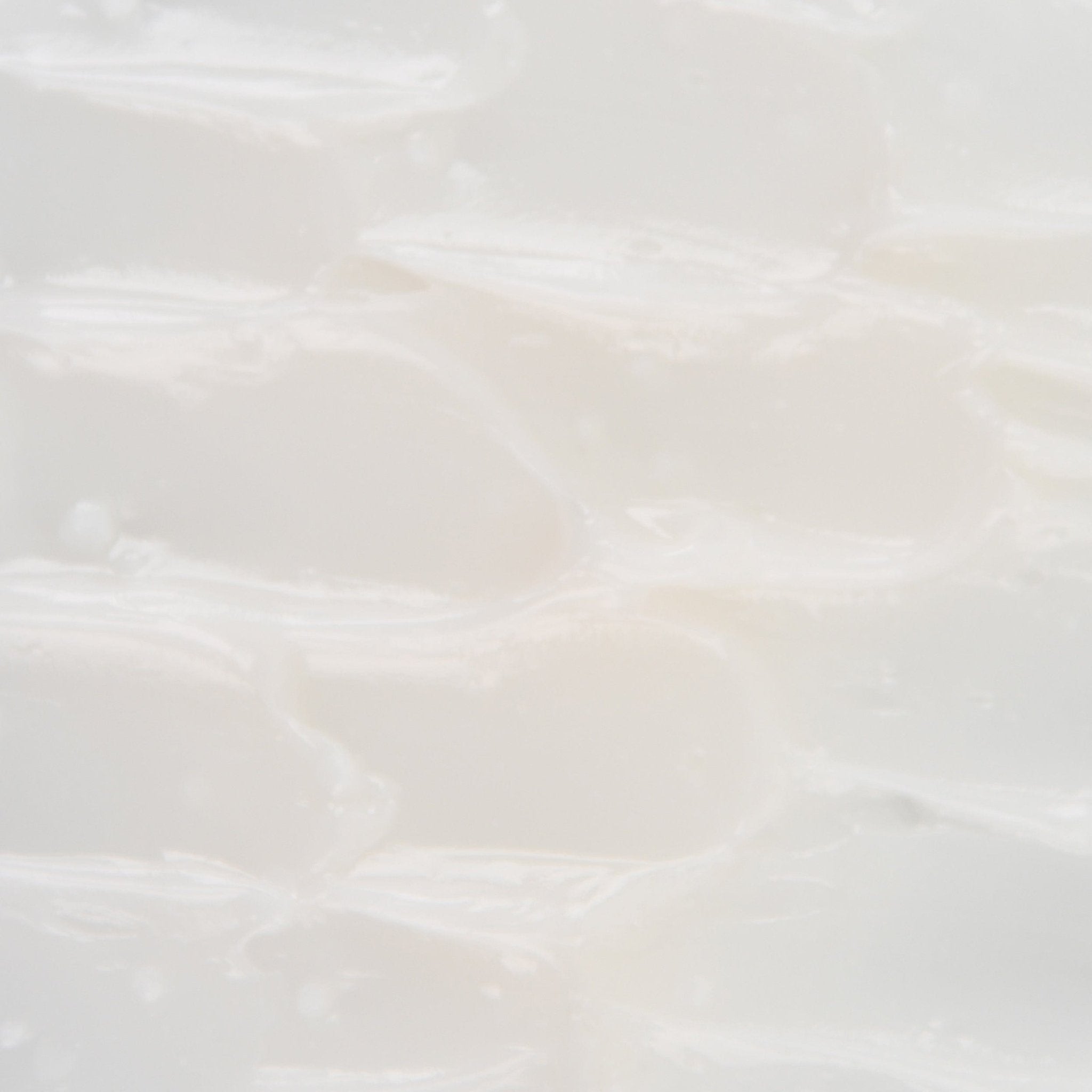 Elizabeth Grant Skin Care Nourishing Lip Mask