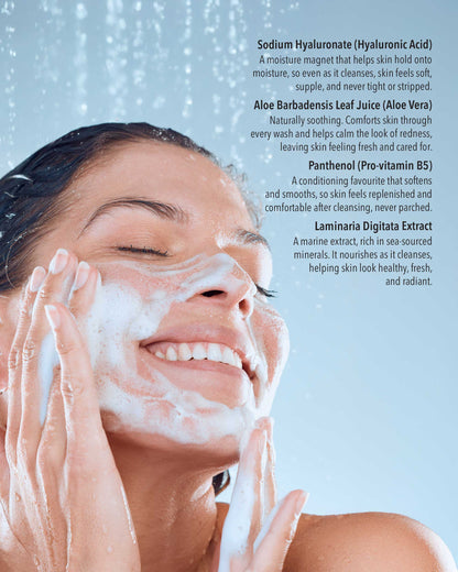 Torricelumn Absolute BlueZone Foaming Cleanser