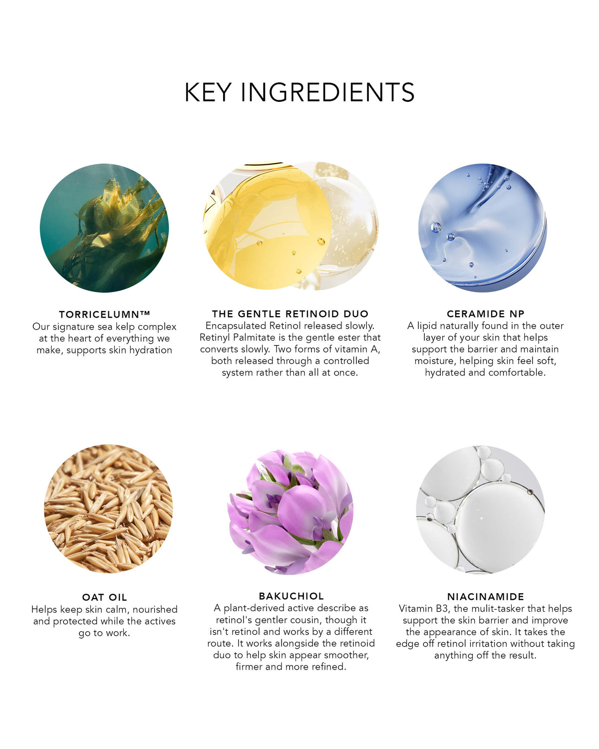 An infographic titled &