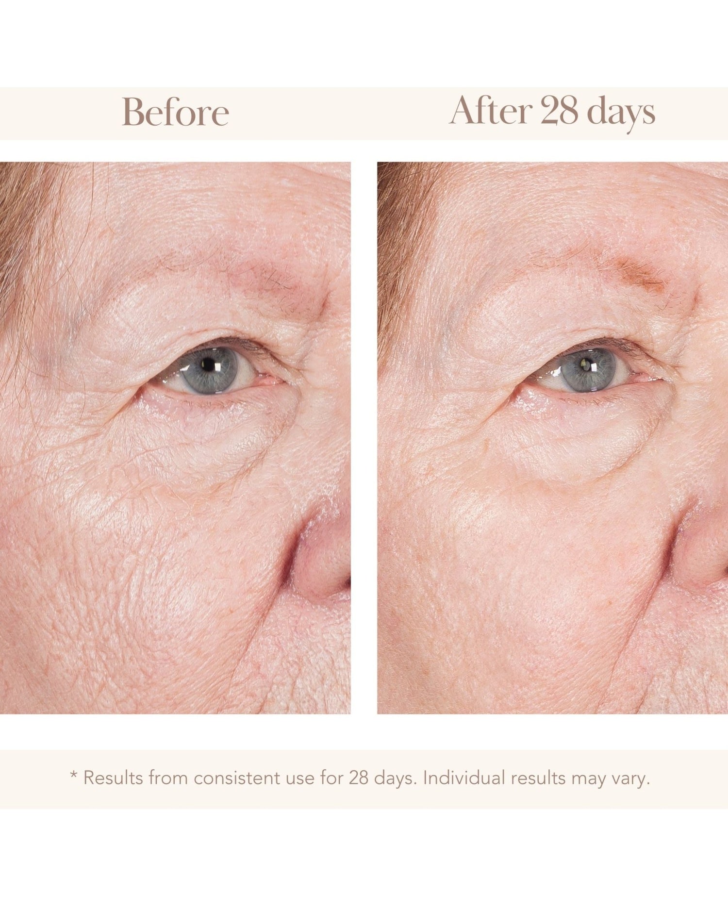 Collagen Re-Inforce 3D Advanced Face Lift Day Cream - Elizabeth Grant Skin Care